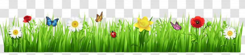 Tulip Meadow Grasses Wildflower Wallpaper - Petal - Spring Grass With Flowers Clipart Picture Transparent PNG