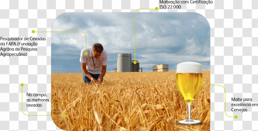 Beer Commodity Chain Industry - Brand Transparent PNG