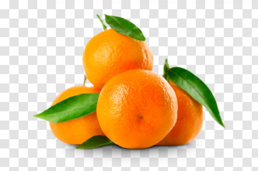Mandarin Orange Clementine Fruit Citrus × Sinensis Rutaceae - NAVEL ORANGE Transparent PNG