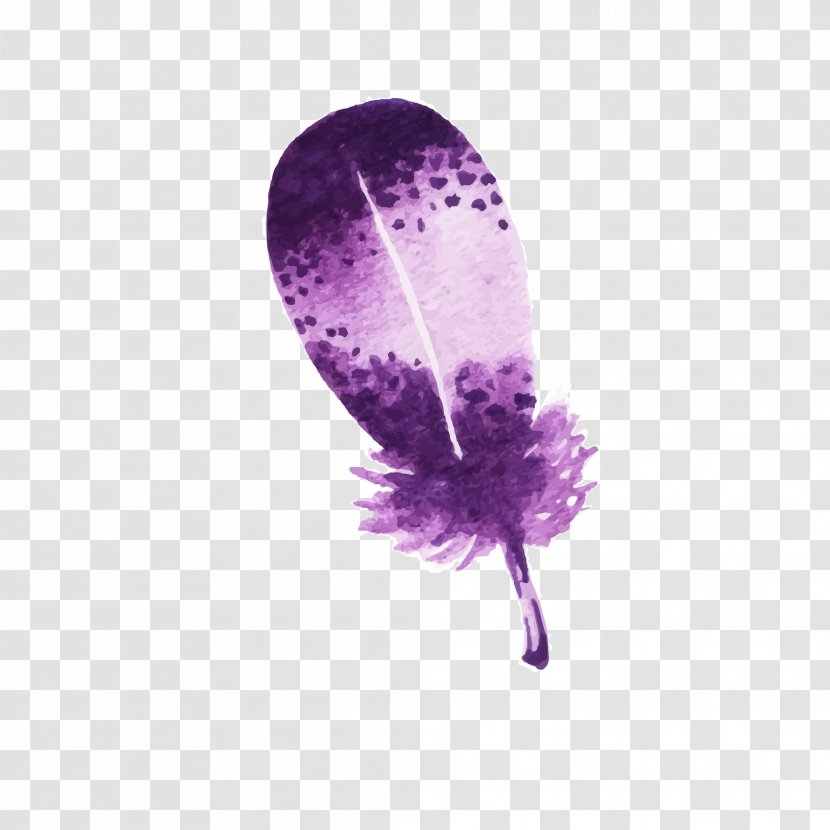 Bird Feather - Color - Drawing Transparent PNG
