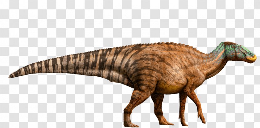 Edmontosaurus Gallimimus Tyrannosaurus Dinosaur Jurassic Park - Triceratops - World Transparent PNG