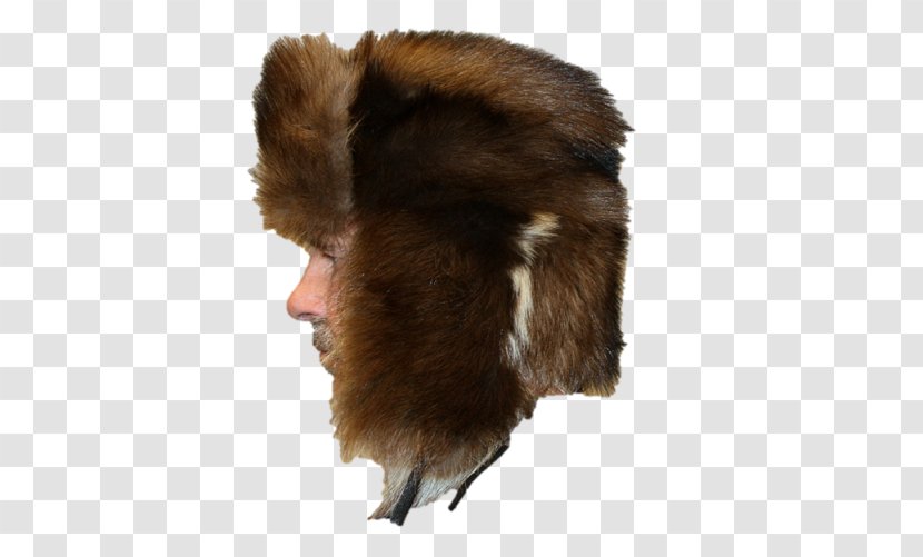 Fur Clothing Bearskin Ushanka Hat - Picture Transparent PNG