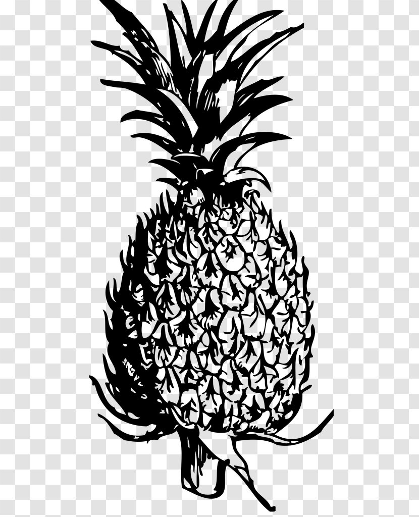 Pineapple Blog Black And White Clip Art - Flora Transparent PNG