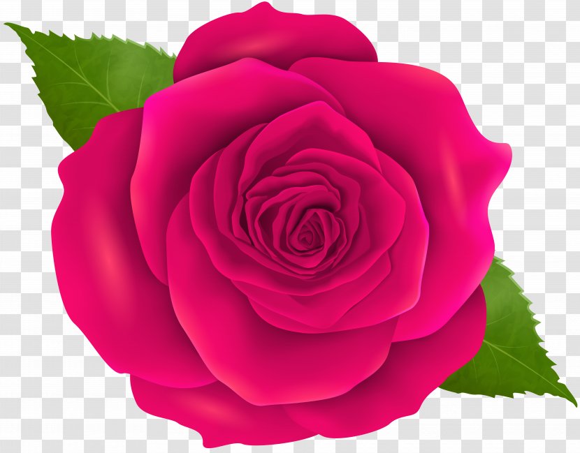 Blue Rose Flower Bead - Pink Transparent Clip Art Transparent PNG