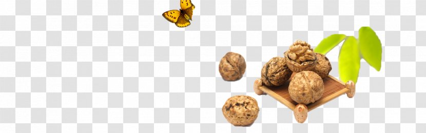 Walnut Superfood - Nuts Seeds Transparent PNG