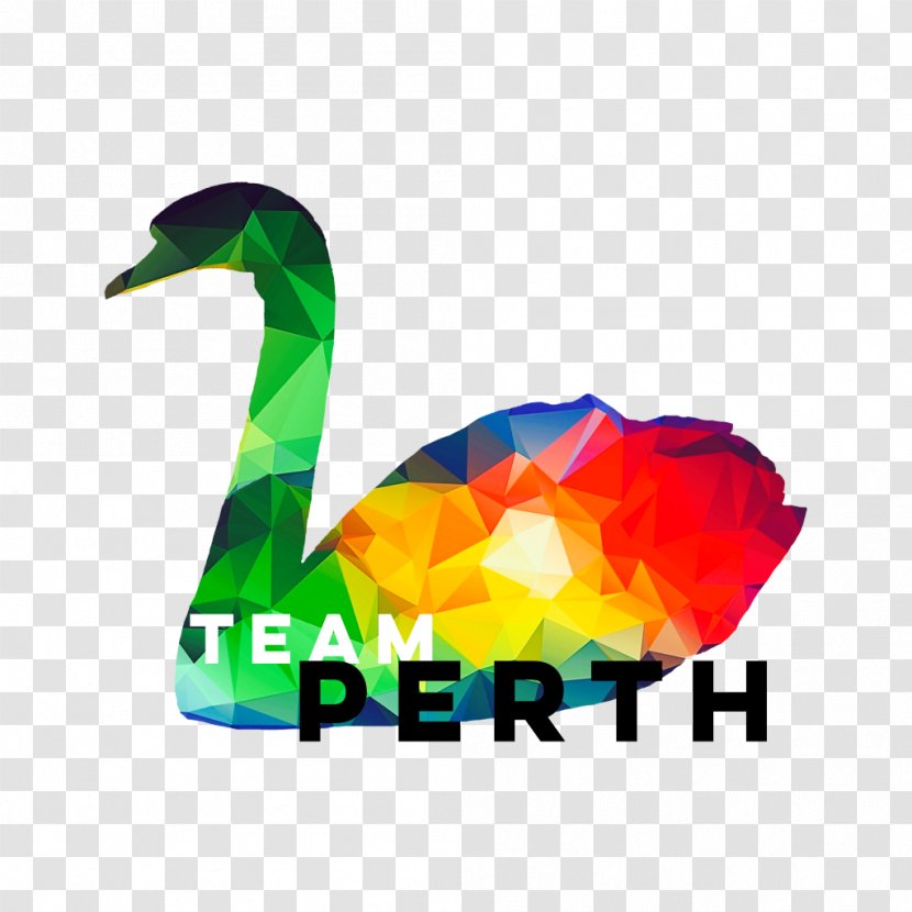 Perth Logo Sports Download Honour - Water Bird - Brisbane Community Pool Transparent PNG