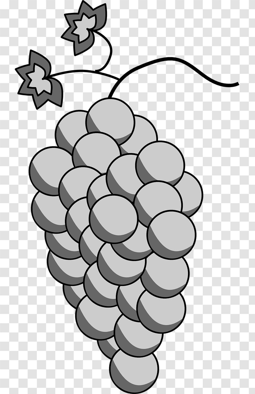 Grape White Wine Sauvignon Blanc Chenin - Grapefruit Transparent PNG