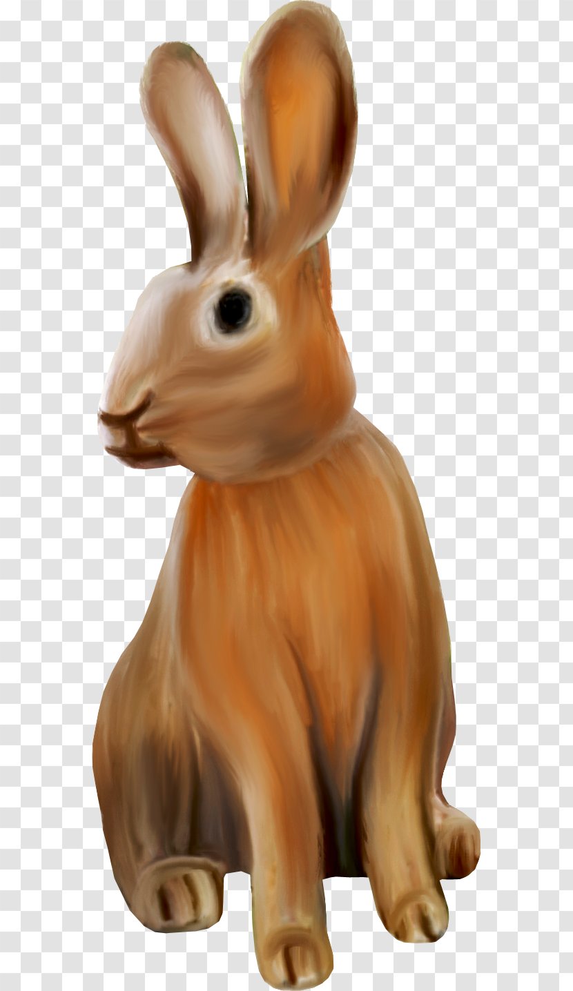 Domestic Rabbit Easter Bunny Hare European - Ears Transparent PNG