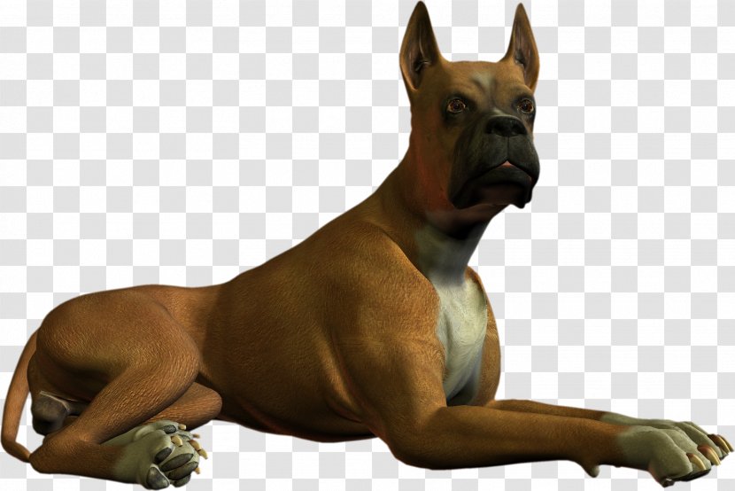 Boxer Great Dane Dog Breed Clip Art - Carnivoran - High Resolution Clipart Transparent PNG