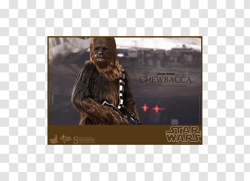 Chewbacca Han Solo Kenner Star Wars Action Figures Hot Toys Limited - Toy Transparent PNG