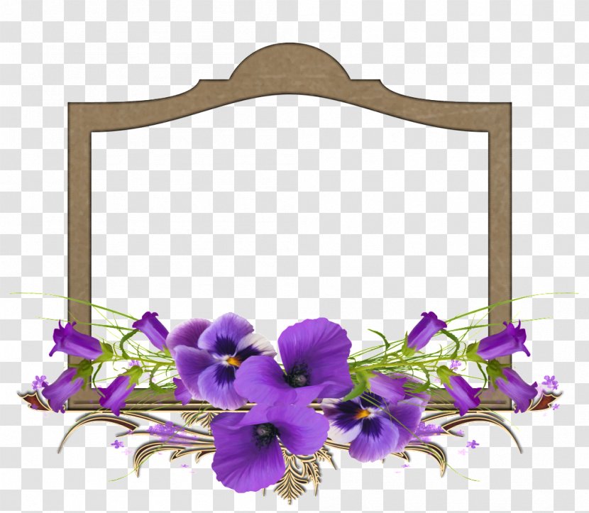 Floral Design African Violets Flower Picture Frames - Violet Family - Borders Transparent PNG