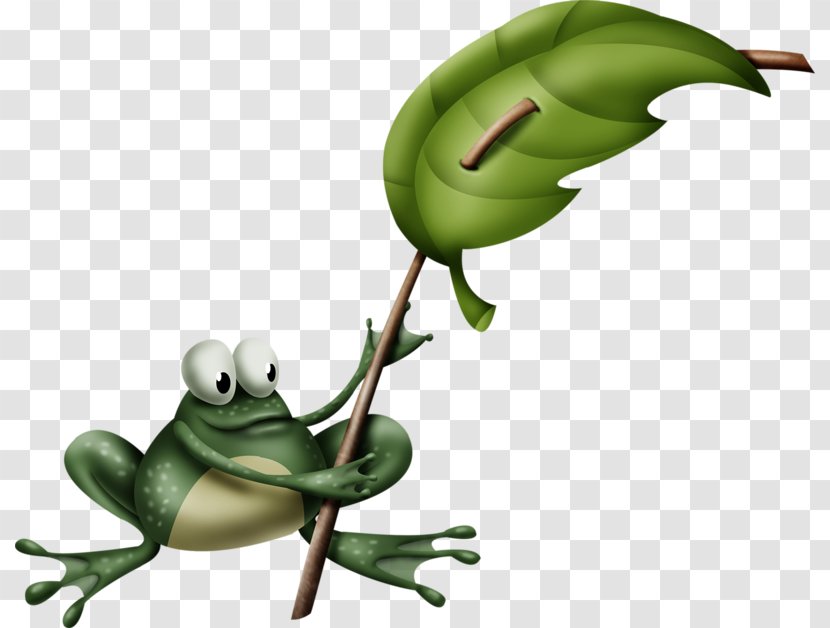 Tree Frog True Clip Art - Amphibian - Frogs Transparent PNG