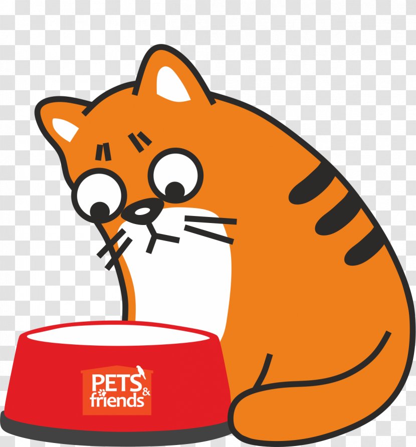 Whiskers Cat Kitten Clip Art - Carnivoran Transparent PNG