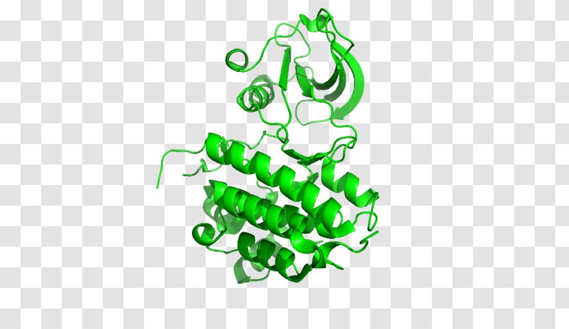 Ephrin Receptor EPH A5 A4 - Pfam - Protein Transparent PNG