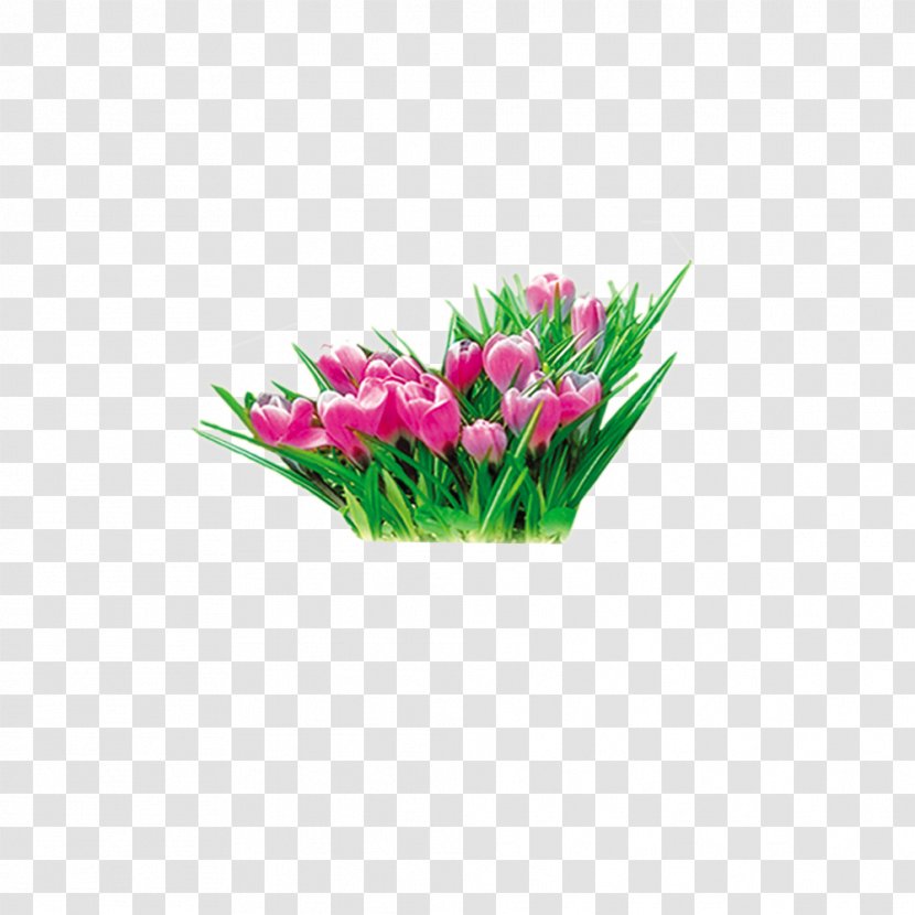 Floral Design Tulip Daffodil Flower Yellow - Pink Flowers Transparent PNG