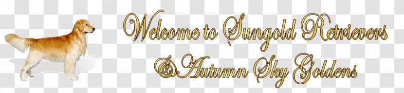 Golden Retriever Calligraphy Paper Body Jewellery Font - Dog - Autumn Sky Transparent PNG