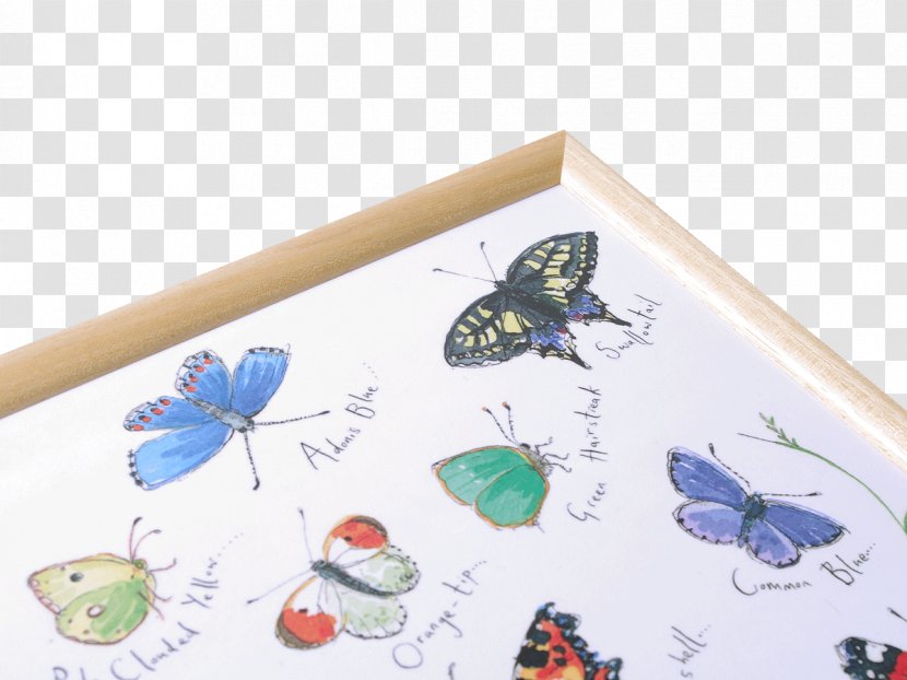 Butterfly Paper Tray - Invertebrate - Festival Transparent PNG