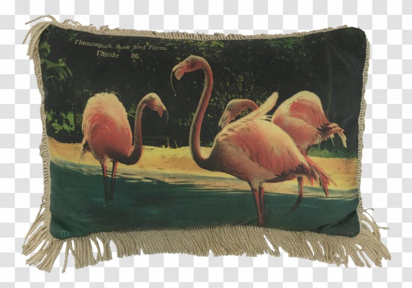 Throw Pillows Cushion - Water Bird - Flamingo Printing Transparent PNG