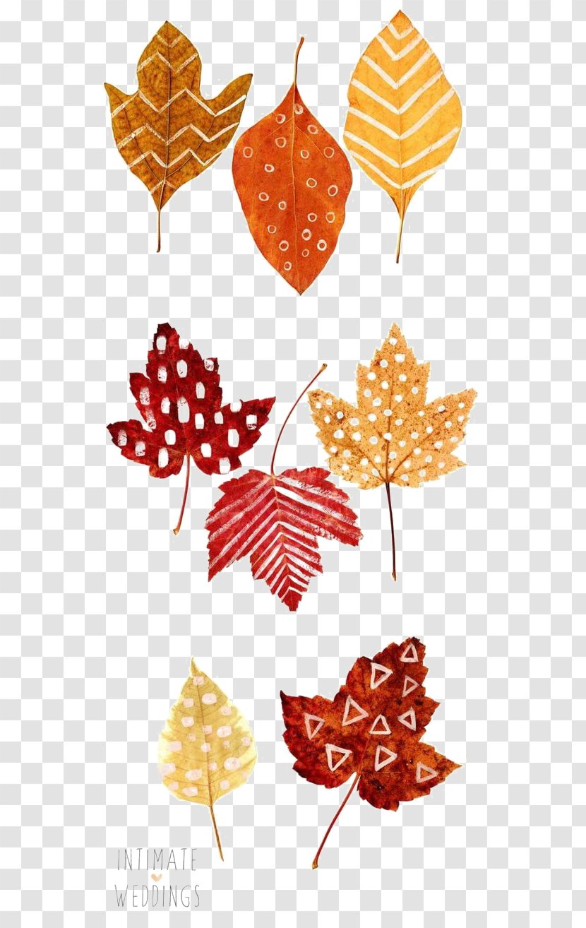 Thanksgiving Autumn Leaf Color Place Card Drawing - Yellow - Leaves Transparent PNG