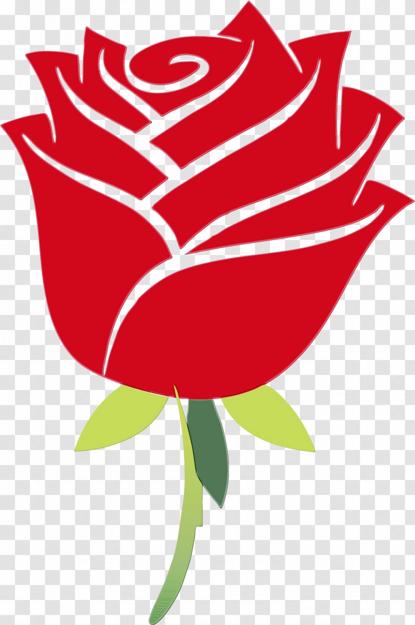Garden Roses - Hybrid Tea Rose - Order Plant Transparent PNG
