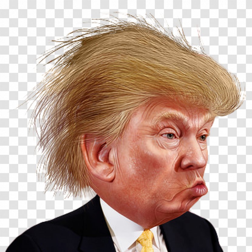 Donald Trump Clip Art Image Funny Face - Hair Coloring Transparent PNG