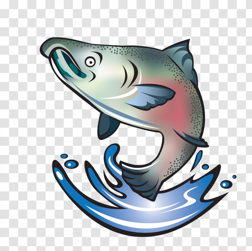 Coho Salmon Chinook Sockeye Fish - Oncorhynchus - SALMON Transparent PNG