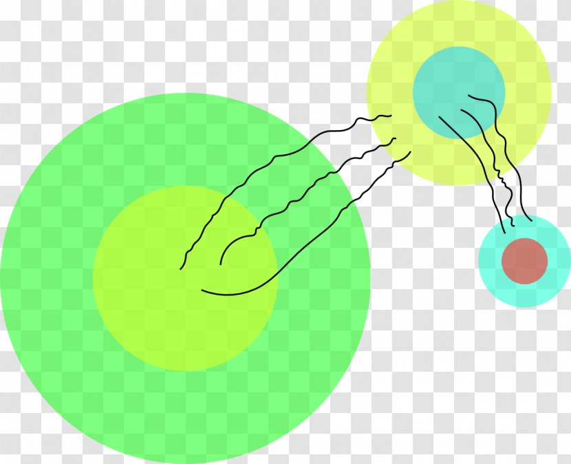 Tennis Balls Riesz Transform Clip Art Organism Product Design - Green - Pi Math Transparent PNG