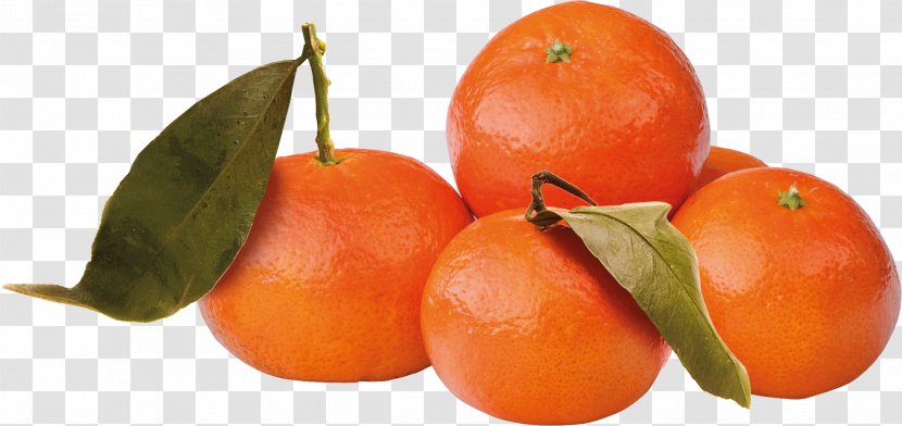 Food Tangerine Mandarin Orange Tangelo Tomato - Product Promotion Transparent PNG
