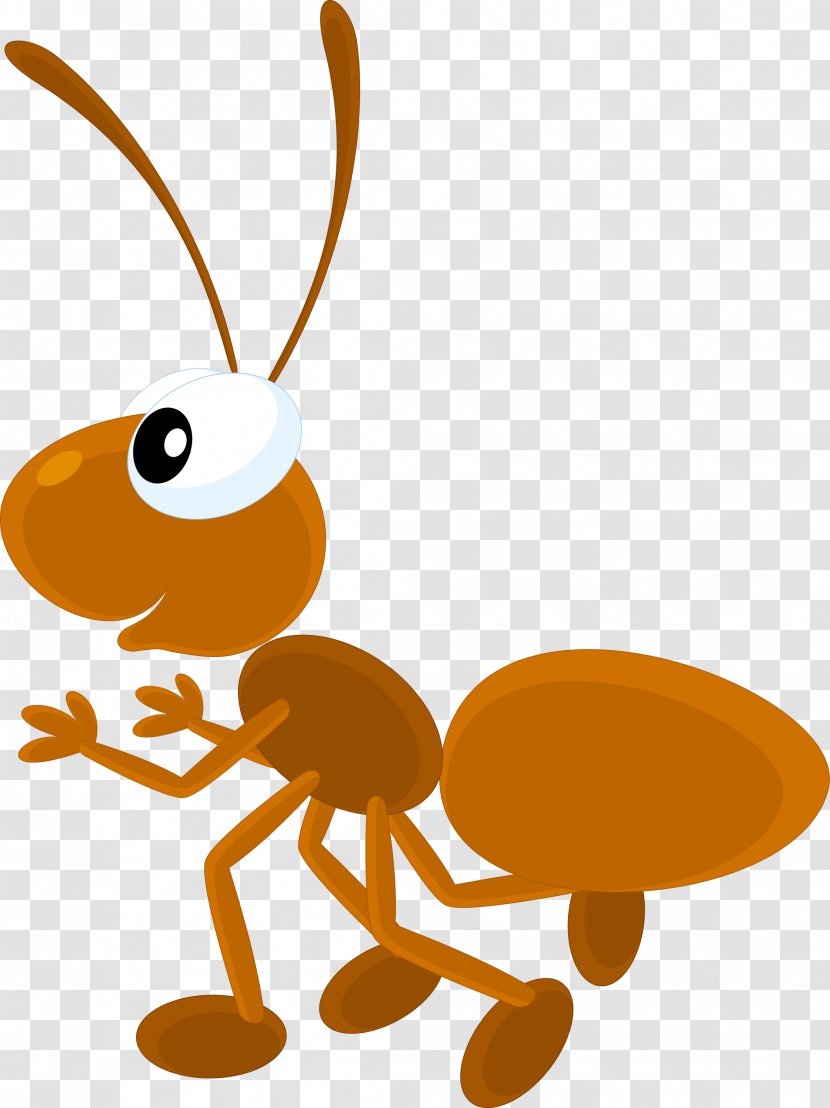 Ant Insect Drawing Digital Image Illustration - Pest - Vector Cartoon Ants Transparent PNG