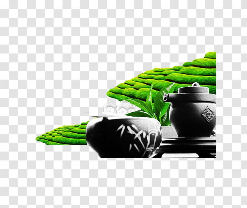 Green Tea Garden Culture Transparent PNG