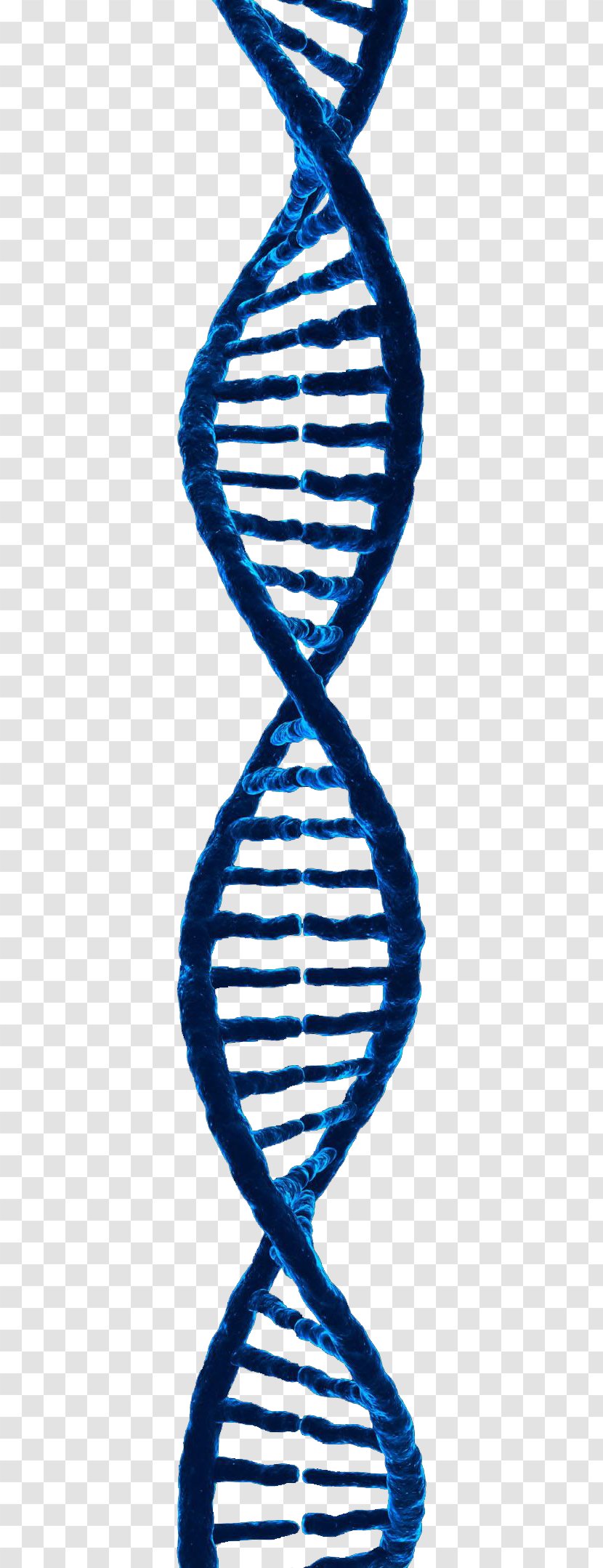 DNA 3D Rendering Computer Graphics - Rna - Free To Pull Material Transparent PNG