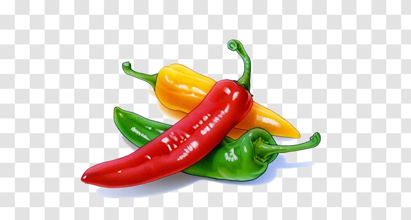 Serrano Pepper Birds Eye Chili Jalapexf1o Bell Friggitello - Vegetable - Cartoon Vegetables Transparent PNG