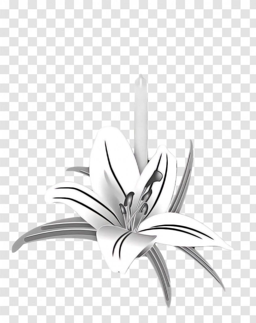 Black And White Flower Transparent PNG