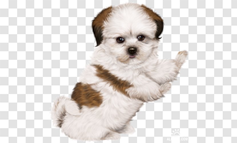 Puppy Dog Drawing Clip Art Transparent PNG