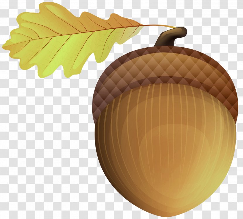 Leaf Acorn Tree Plant Nut - Hazelnut Food Transparent PNG