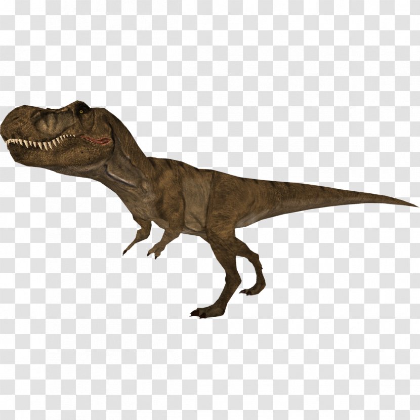 Zoo Tycoon 2 Tyrannosaurus Tycoon: Dinosaur Digs Allosaurus Velociraptor - T Rex Transparent PNG
