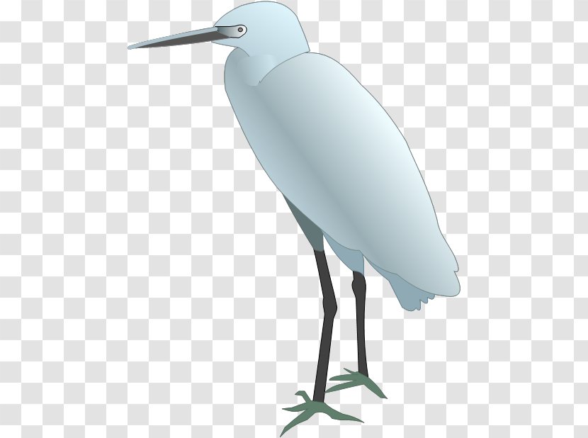 Snowy Egret Bird Drawing - Great Transparent PNG