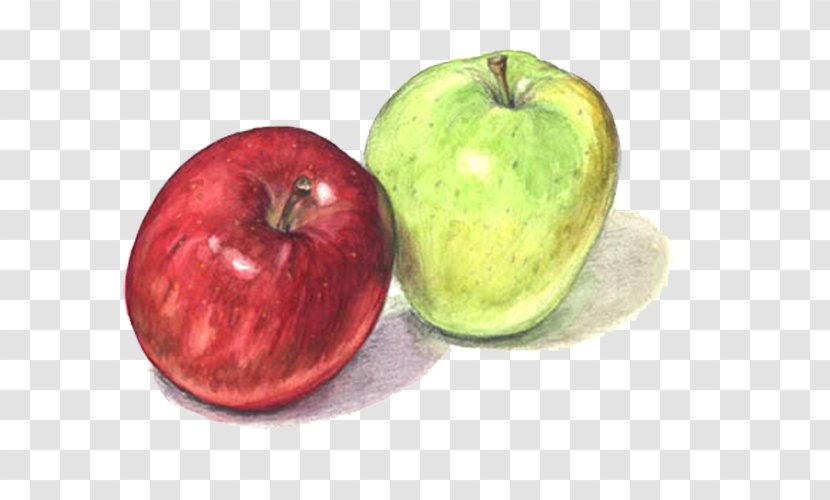 Apple Red Blue - Fruit - Apples And Green Transparent PNG