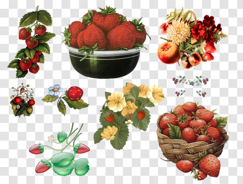 Strawberry Clip Art - Plant - Hand-painted Transparent PNG