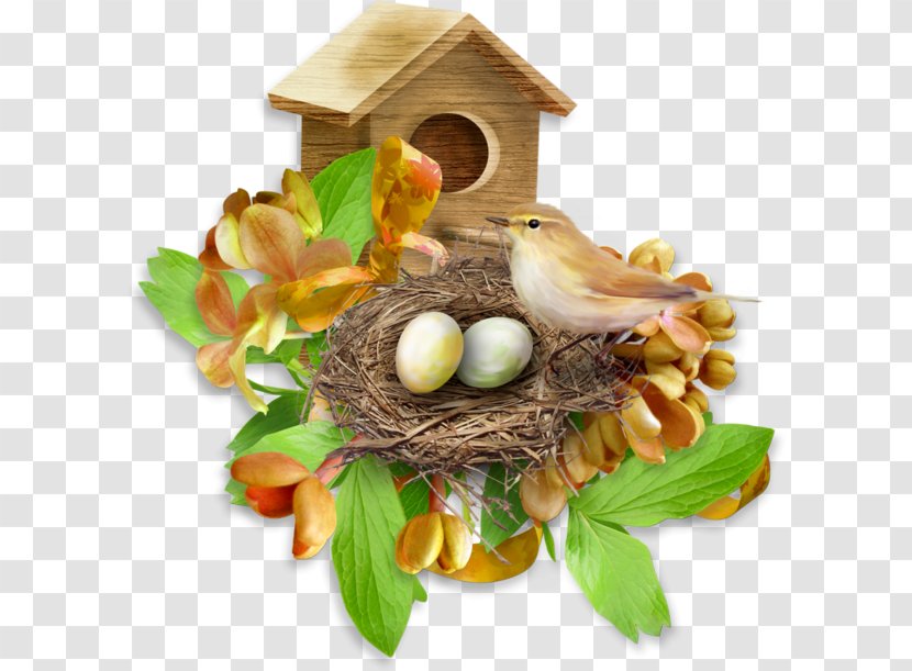 Bird Nest TinyPic Idea Clip Art - Tinypic Transparent PNG