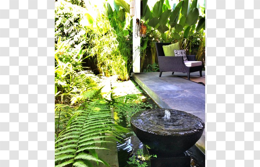Backyard Water Feature Tree Lawn - Indonesia Bali Transparent PNG