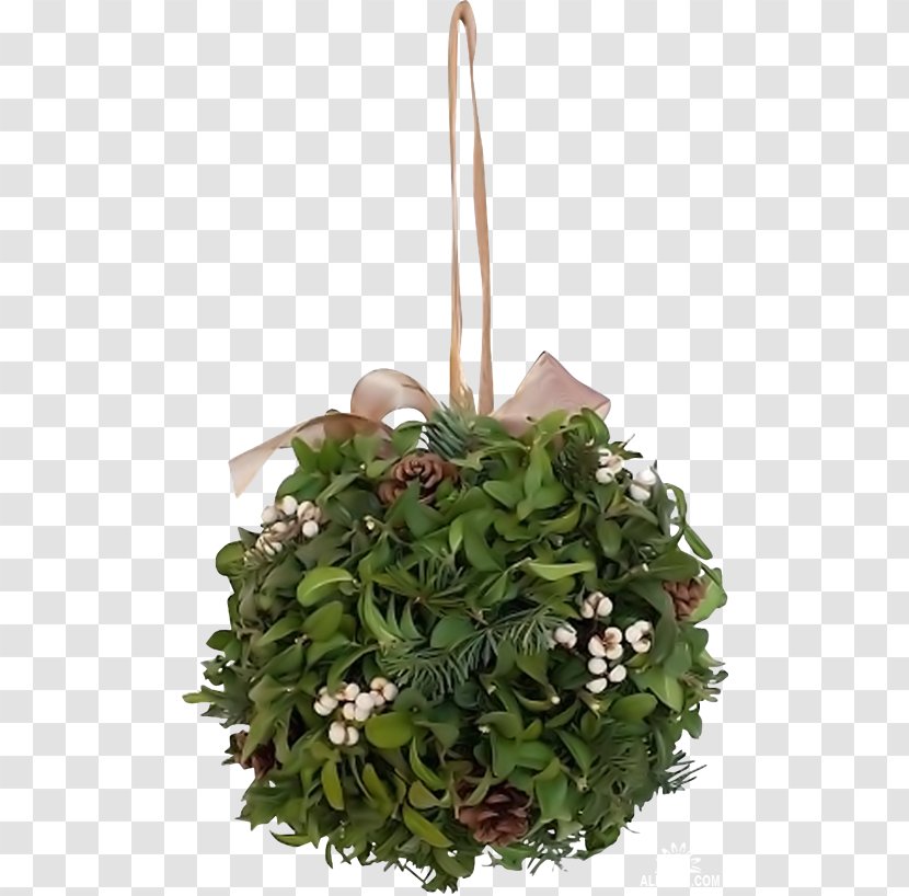 Floral Design Christmas Clip Art - Plant Transparent PNG