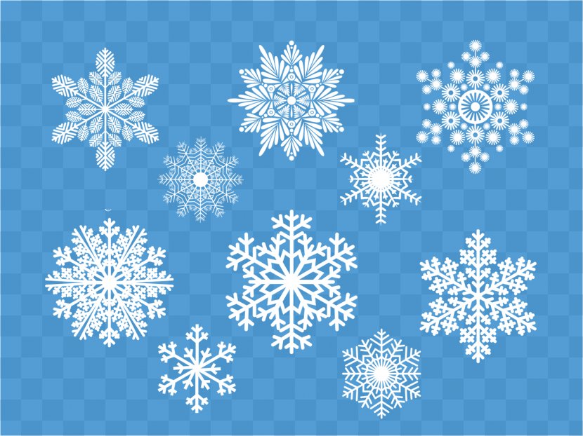 Snowflake Schema - Photography - Snowflakes Transparent PNG