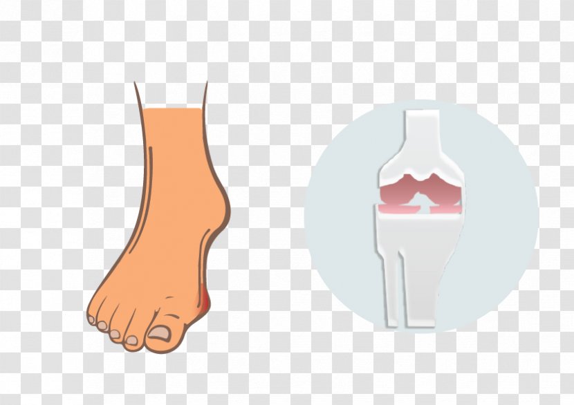 Thumb Hand Model Finger Human Leg - Nail Ankle Transparent PNG