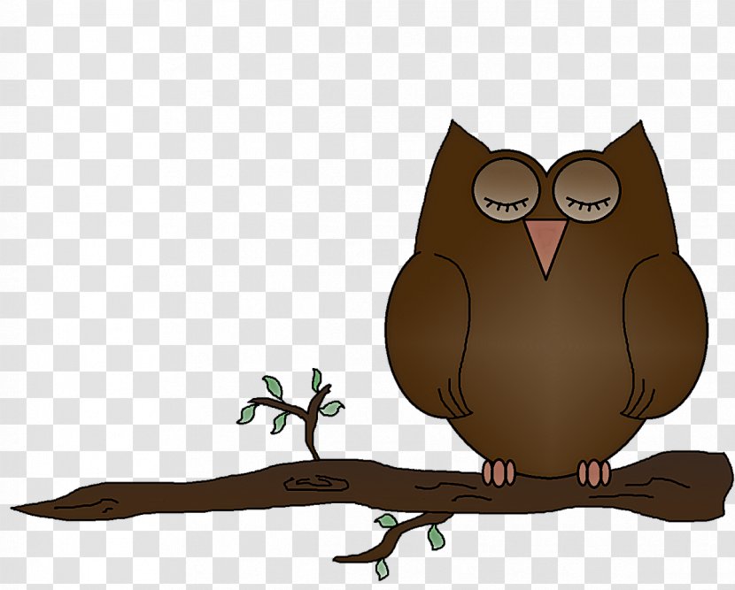 Owl Bird Of Prey Eastern Screech Branch - Cartoon - Animation Transparent PNG