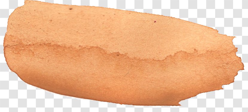 Bockwurst Hot Dog Bun Bologna Sausage Transparent PNG