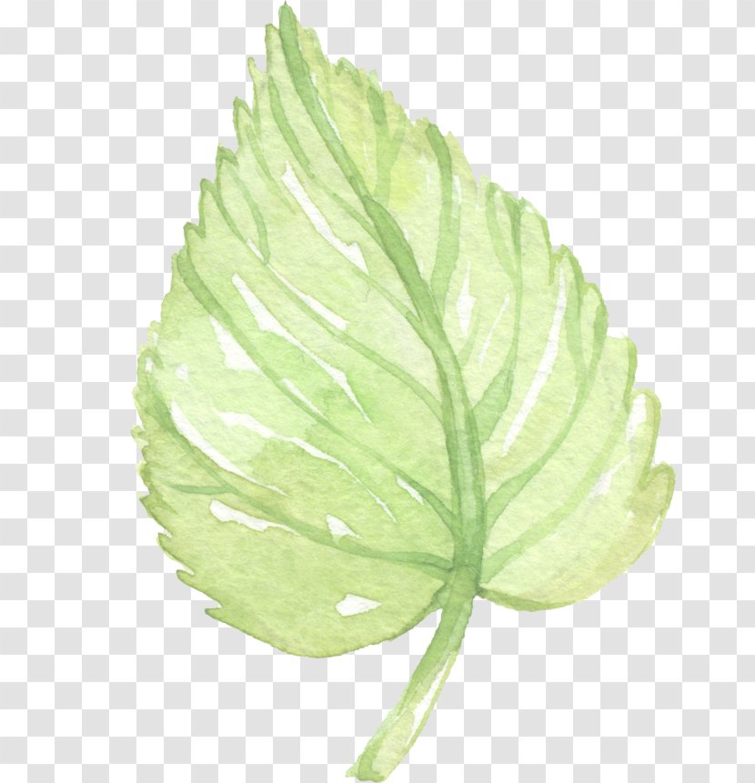 Leaf Watercolor Painting Clip Art Transparent PNG