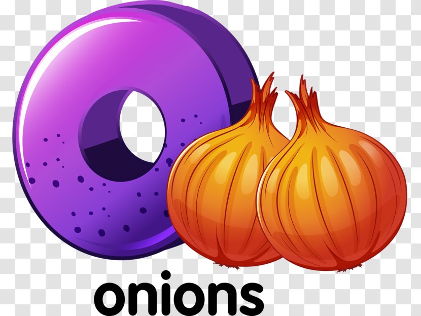 Onion Allium Fistulosum Scallion Illustration - Purple - Onions And O Transparent PNG