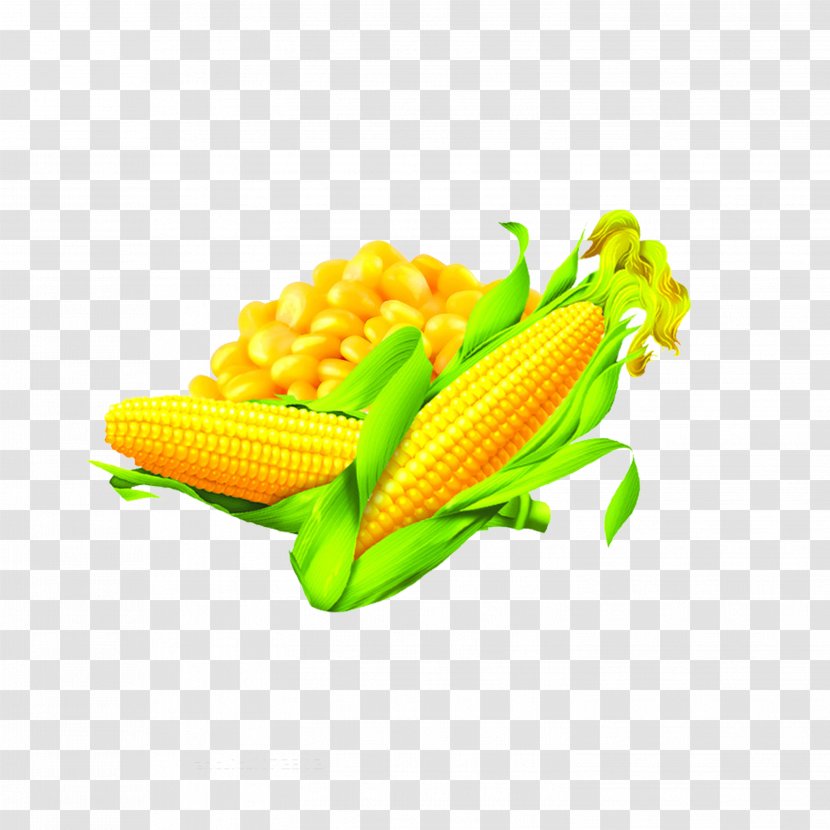 Corn On The Cob Maize Oil Food - Commodity Transparent PNG