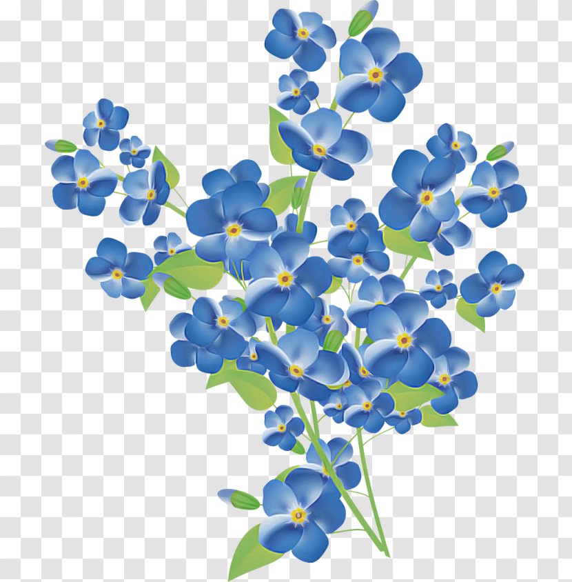 Blue Flower Plant Petal Borage Family - Wildflower - Bluebonnet Transparent PNG
